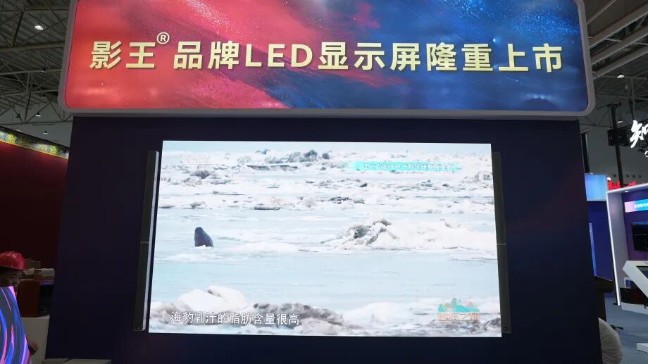 人氣爆棚|音王亮相武漢文旅博覽會,憑借硬核實力強勢出圈 人氣爆棚|音王亮相武漢文旅博覽會,憑借硬核實力強勢出圈