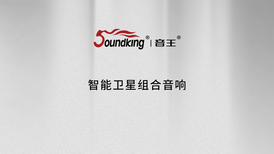 智能衛星組合音響 智能衛星組合音響